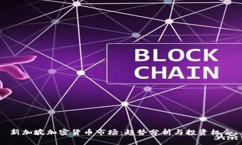 新加坡加密货币市场：趋势分析与投资机会