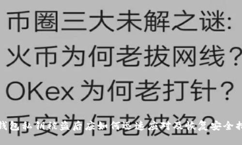 TP钱包私钥被盗后应如何迅速应对及恢复安全措施