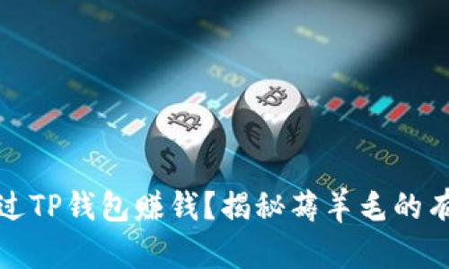 如何通过TP钱包赚钱？揭秘薅羊毛的有效策略