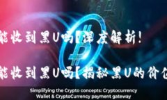 TP钱包能收到黑U吗？深度解析!TP钱包能收到黑U吗