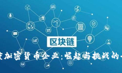 探索印度加密货币企业：崛起与挑战的全景分析