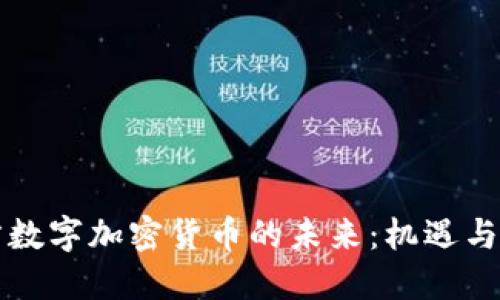 官方数字加密货币的未来：机遇与挑战