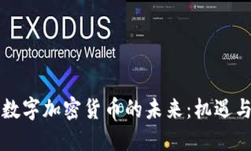 官方数字加密货币的未来：机遇与挑战