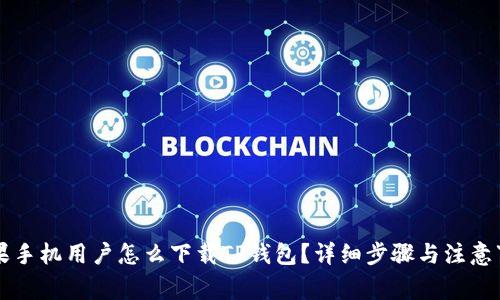 苹果手机用户怎么下载TP钱包？详细步骤与注意事项