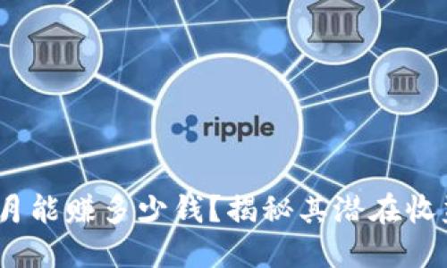 tP钱包：一个月能赚多少钱？揭秘其潜在收益及影响因素
