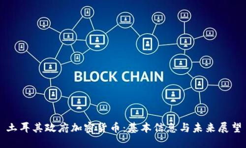 土耳其政府加密货币：基本信息与未来展望
