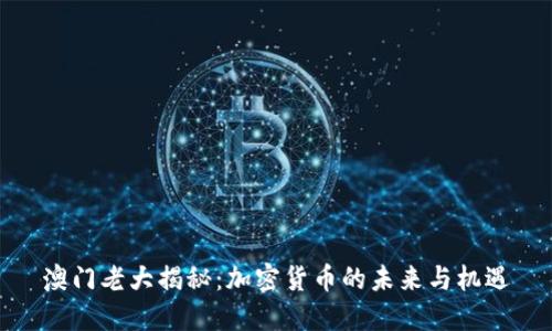 澳门老大揭秘：加密货币的未来与机遇