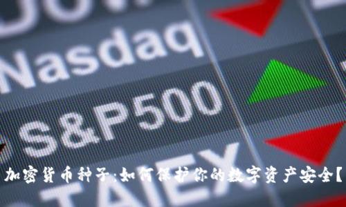 加密货币种子：如何保护你的数字资产安全？