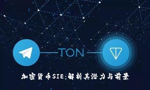 加密货币SIE：解析其潜力与前景
