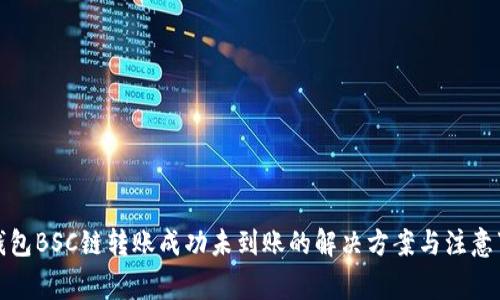 TP钱包BSC链转账成功未到账的解决方案与注意事项
