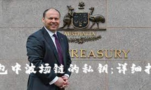 如何找回TP钱包中波场链的私钥：详细指南与预防措施