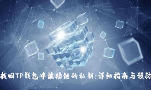 如何找回TP钱包中波场链的私钥：详细指南与预防措施