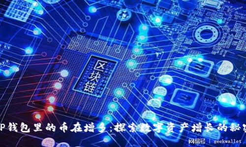 TP钱包里的币在增多：探索数字资产增长的秘密