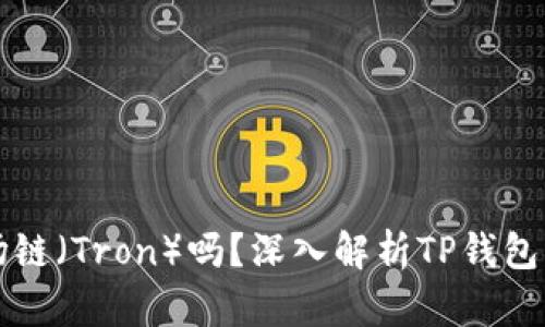 TP钱包支持波场链（Tron）吗？深入解析TP钱包与波场链的关系