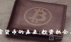 区块链加密货币的未来：投资机会与挑战分析