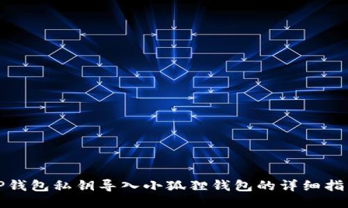 TP钱包私钥导入小狐狸钱包的详细指南
