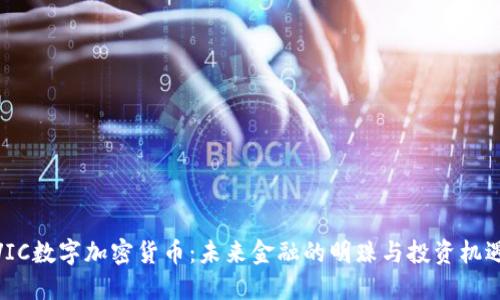 VIC数字加密货币：未来金融的明珠与投资机遇