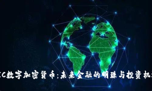 VIC数字加密货币：未来金融的明珠与投资机遇