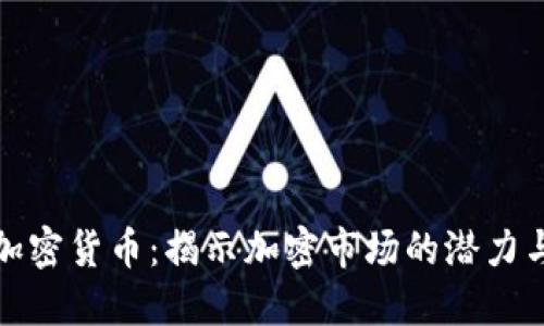 老鲍加密货币：揭示加密市场的潜力与风险