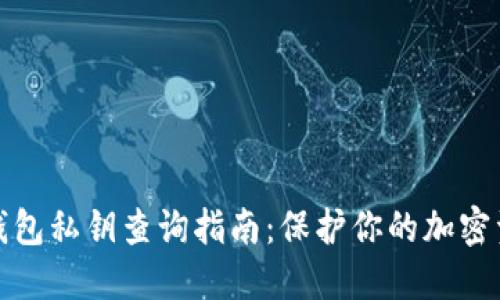 TP数字钱包私钥查询指南：保护你的加密资产安全