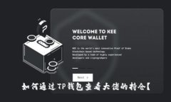 如何通过TP钱包查看大佬的持仓？