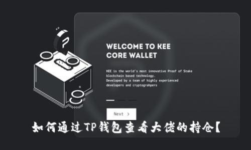 如何通过TP钱包查看大佬的持仓？