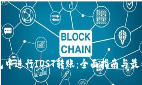 如何在TP钱包中进行IOST转账：全面指南与最佳交易所推荐