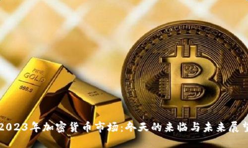 2023年加密货币市场：冬天的来临与未来展望