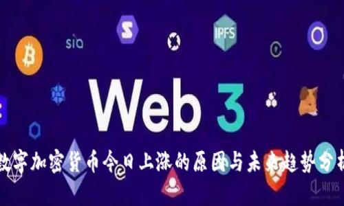 数字加密货币今日上涨的原因与未来趋势分析