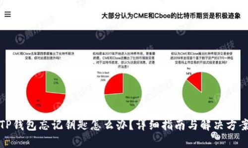 TP钱包忘记钥匙怎么办？详细指南与解决方案