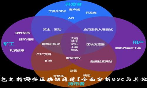 TP钱包支持哪些区块链通道？全面分析BSC与其他选项