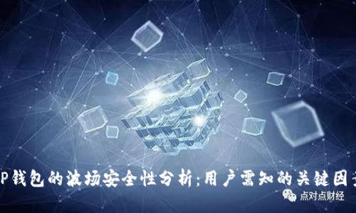 TP钱包的波场安全性分析：用户需知的关键因素