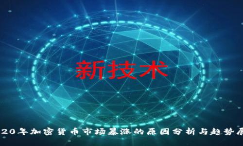 2020年加密货币市场暴涨的原因分析与趋势展望
