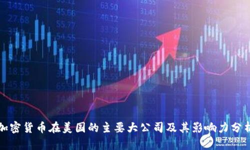 加密货币在美国的主要大公司及其影响力分析