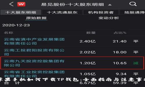苹果手机如何下载TP钱包：全面指南与注意事项