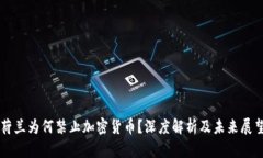 荷兰为何禁止加密货币？深度解析及未来展望