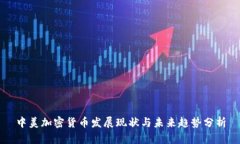 中美加密货币发展现状与未来趋势分析