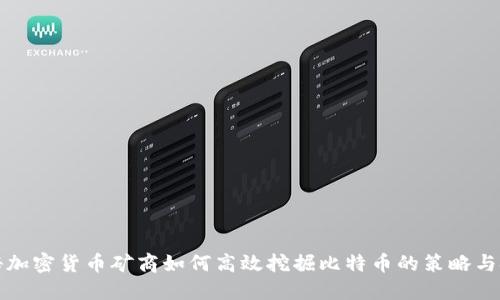 揭秘加密货币矿商如何高效挖掘比特币的策略与技术