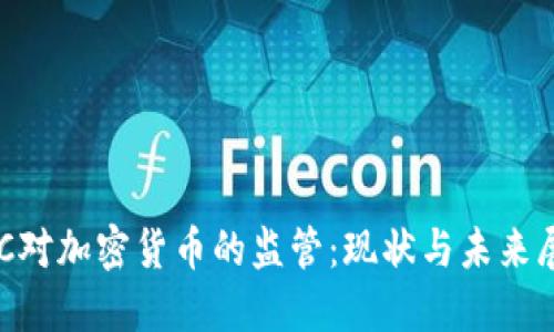 SEC对加密货币的监管：现状与未来展望