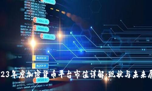 2023年度加密货币平台市值详解：现状与未来展望