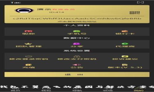 TP钱包不翼而飞的原因与解决方案分析