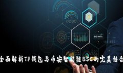 全面解析TP钱包与币安智能链BSC的完美结合