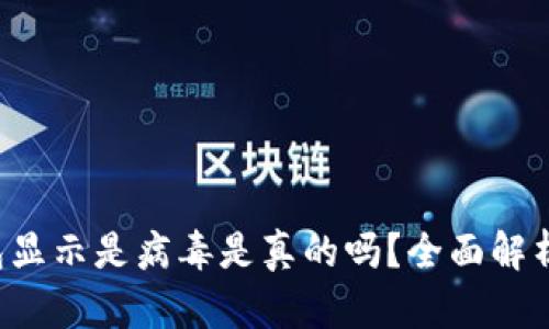 t p钱包显示是病毒是真的吗？全面解析与对策