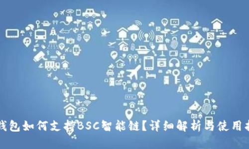 TP钱包如何支持BSC智能链？详细解析与使用指南