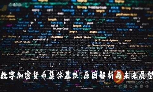 数字加密货币集体暴跌：原因解析与未来展望