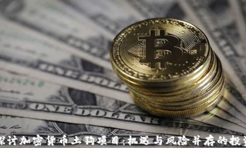 
深入探讨加密货币土狗项目：机遇与风险并存的投资策略