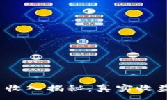 nu  2023年加密货币收入揭秘：真实收益与投资风险