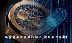 加密货币开发团队评比：谁是最佳选择？