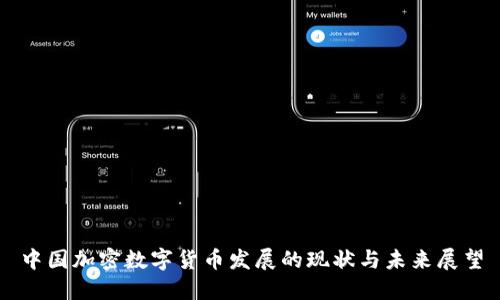中国加密数字货币发展的现状与未来展望