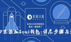 如何在TP里添加Soul钱包：详尽步骤与注意事项